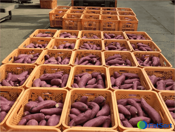images/1740035069979sweet potatoes.png